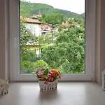 Aba *